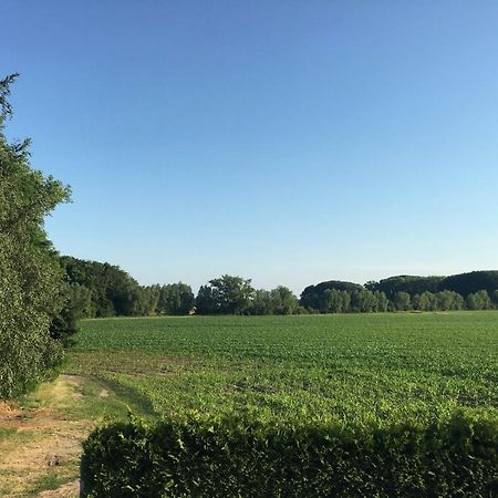 Gaestehaus Luessvitz Ummanz Exteriör bild